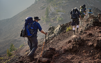 Trekking Poles Aluminum