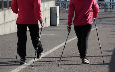 Trekking Poles Budget