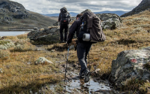 Trekking Poles Carbon Fiber