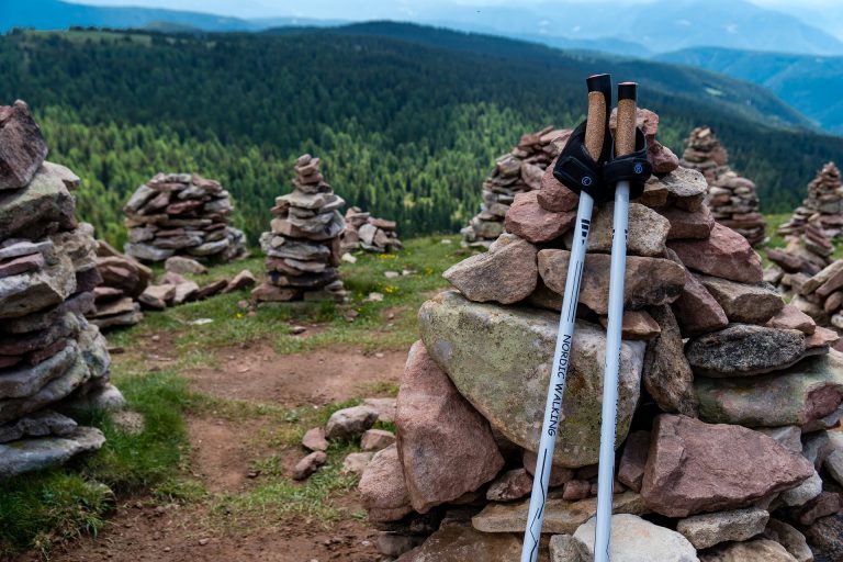 Trekking poles up close