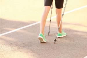 Budget Trekking Poles