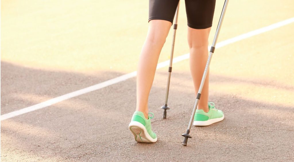 Budget Trekking Poles