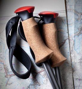 Grip of a trekking pole