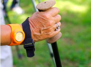 Trekking Pole Grip