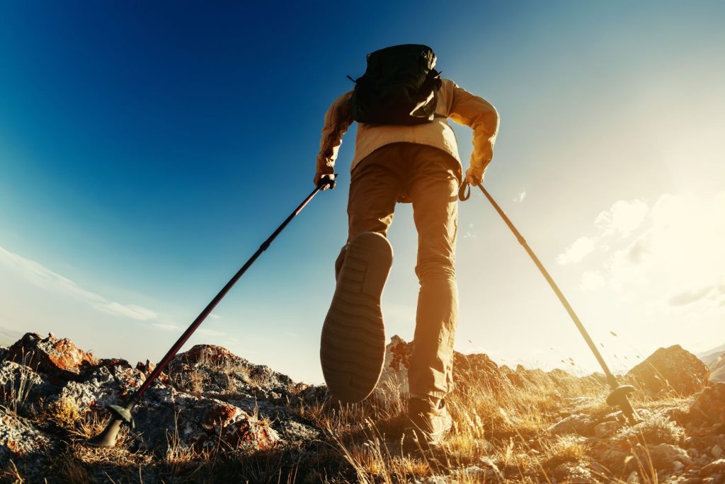 Why Choose Carbon Fiber Trekking Poles