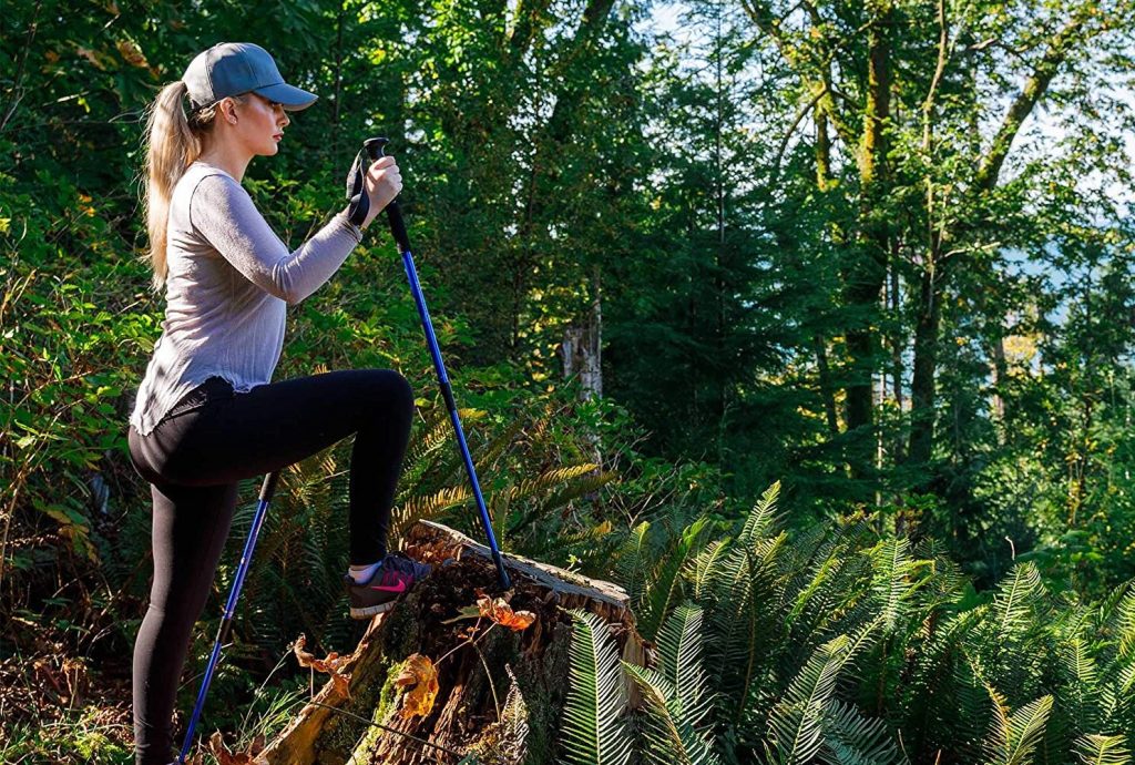 Budget Aluminum Trekking Poles under $50
