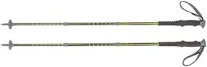 Kelty Upslope 2.0 Outdoor Adjustable Trekking Poles